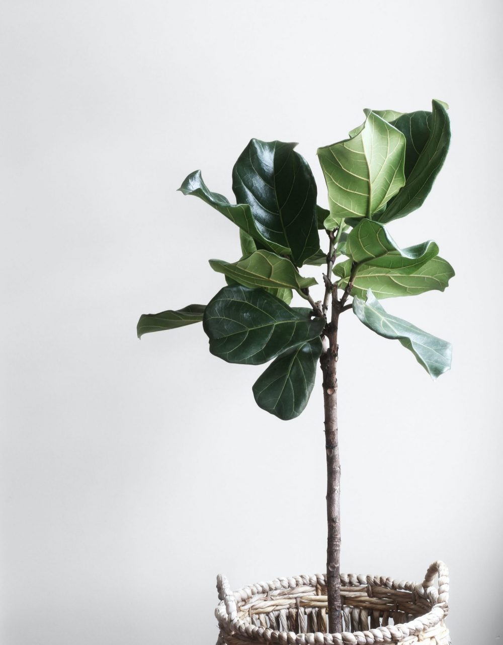 lauren-mancke-unsplash lauren-mancke-unsplash